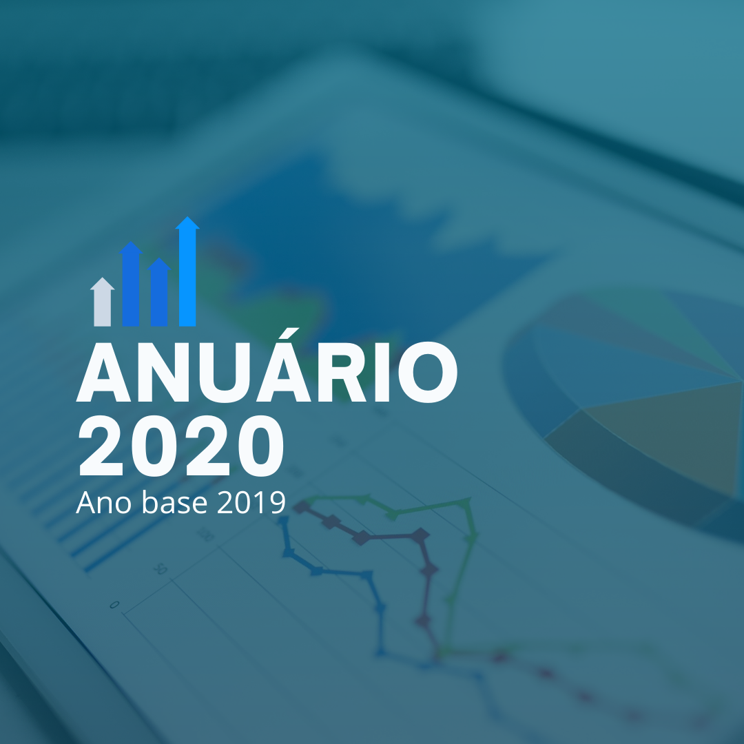 ANUÁRIO 2020: Confira os dados quantitativos de todas as ações realizadas pela Uema